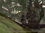 木NM.jpg